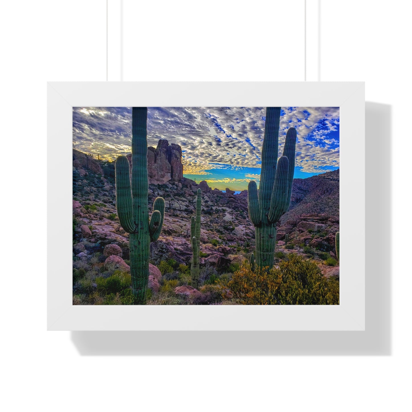Framed Desert Photography: Mountaintop Saguaros; Arizona Photography, Wall Art, Natural Landscape Home Decor for Hikers and Nature Lovers!