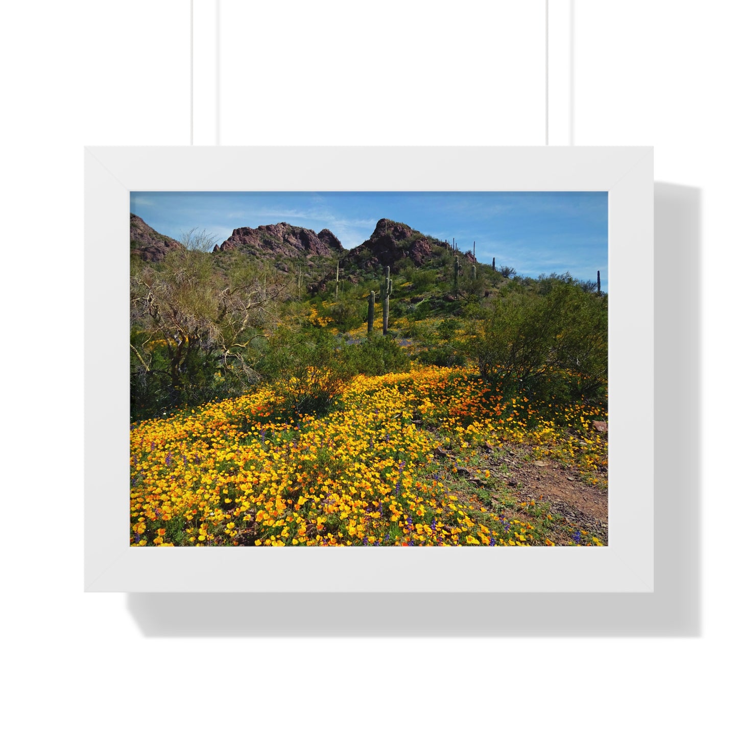 Framed Desert Photography: Desert Wildflowers; Arizona Photography, Wall Art, Natural Landscape Home Decor for Hikers and Nature Lovers!