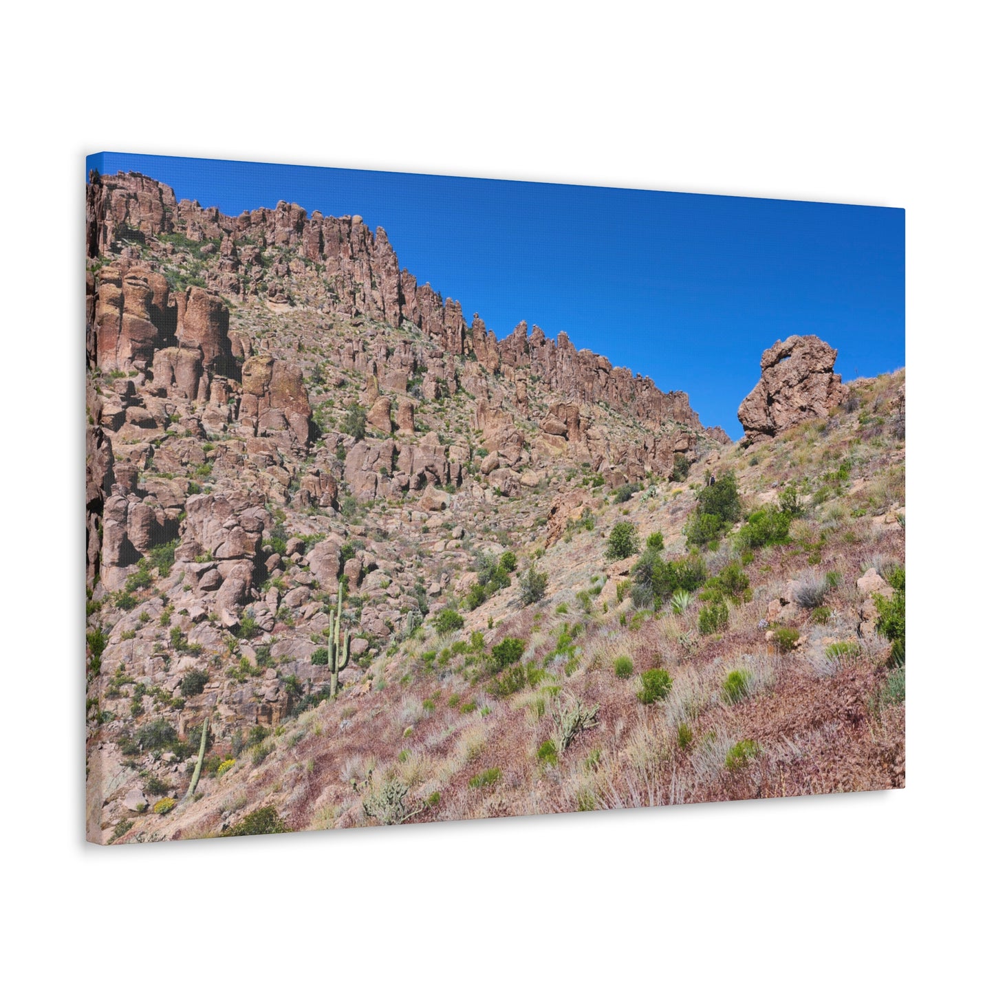 Beyond the Fremont Saddle (#2); Arizona Photography, Wall Art, Natural Landscape Home Decor for Hikers and Nature Lovers!