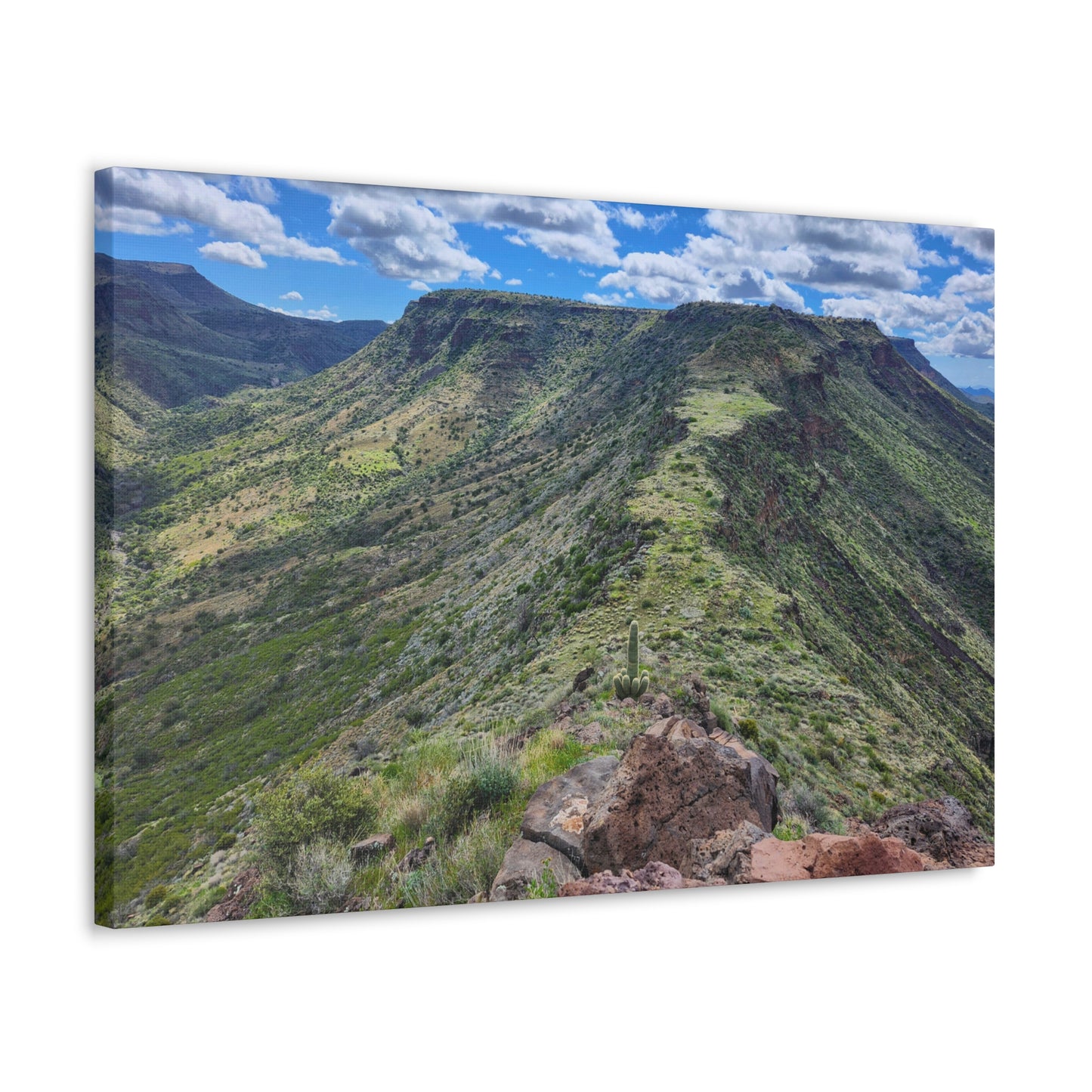 Looking Back at Skull Mesa; Arizona Photography, Wall Art, Natural Landscape Home Decor for Hikers and Nature Lovers!