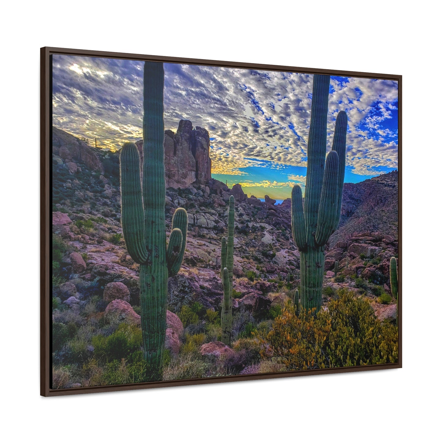 Framed Canvas Gallery Wraps: Mountaintop Saguaros; Arizona Photography, Wall Art, Natural Landscape Home Decor for Hikers and Nature Lovers!