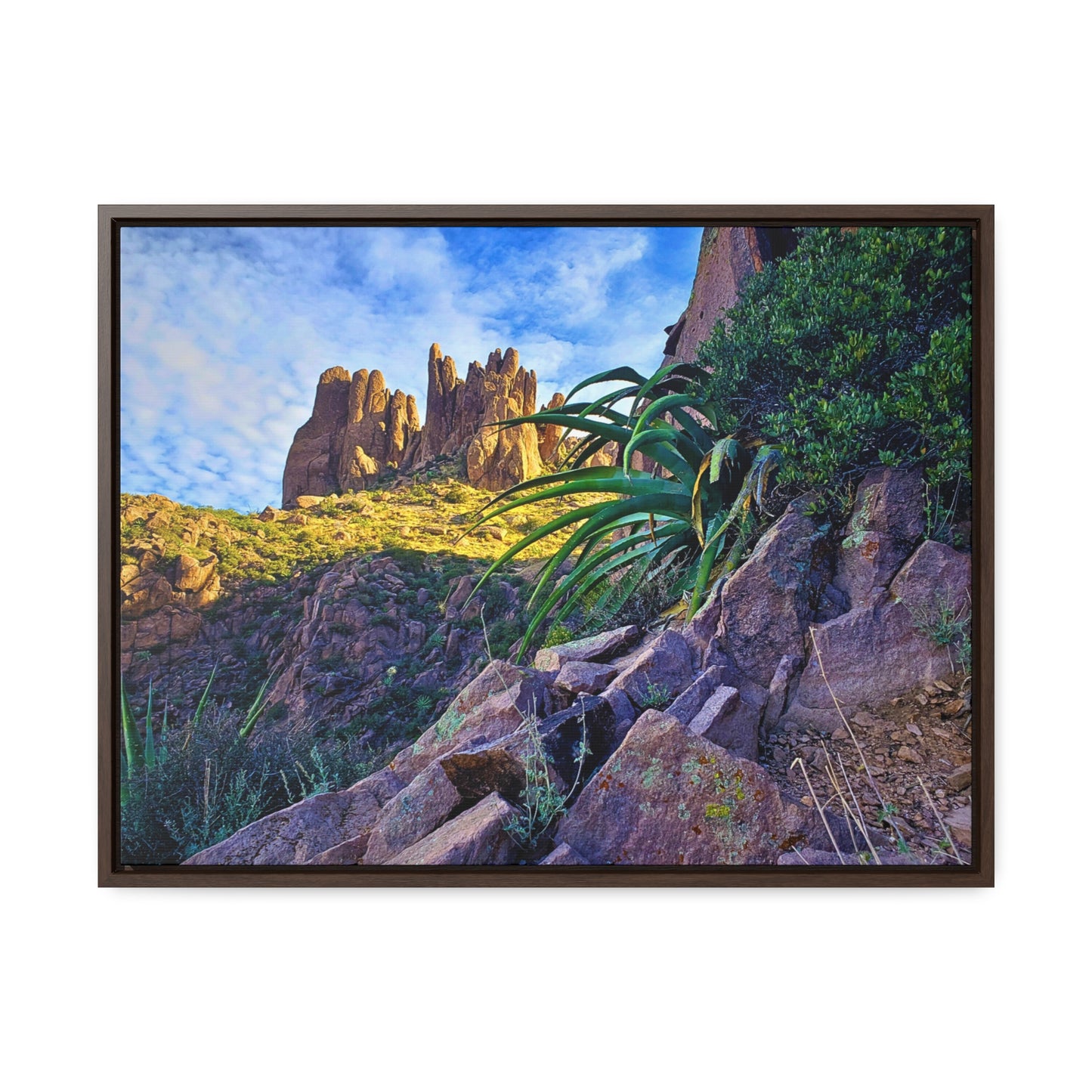 Framed Canvas Print: Succulents and Spires; Arizona Photography, Wall Art, Natural Landscape Home Decor for Hikers and Nature Lovers!