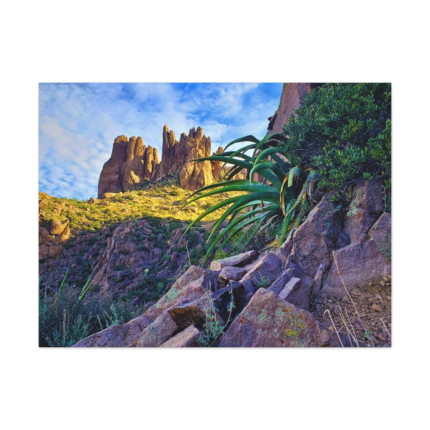 Canvas Gallery Wraps: Succulents and Spires; Arizona Photography, Wall Art, Natural Landscape Home Decor for Hikers and Nature Lovers!